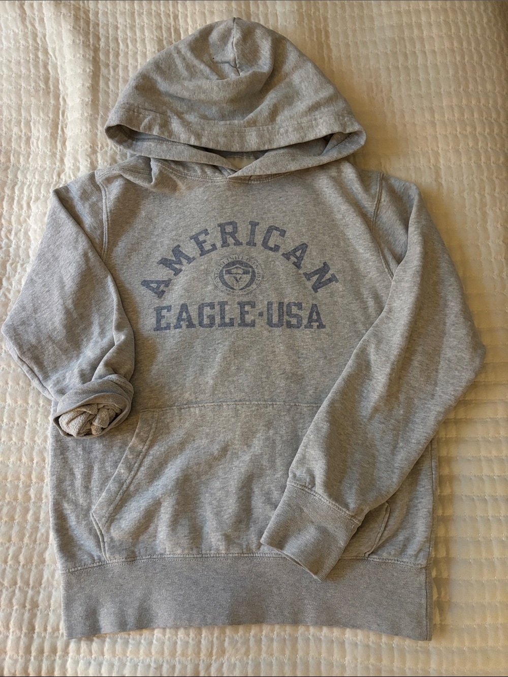 American Eagle Outfitters Light Gray Crewneck Hoodie with Blue Logo